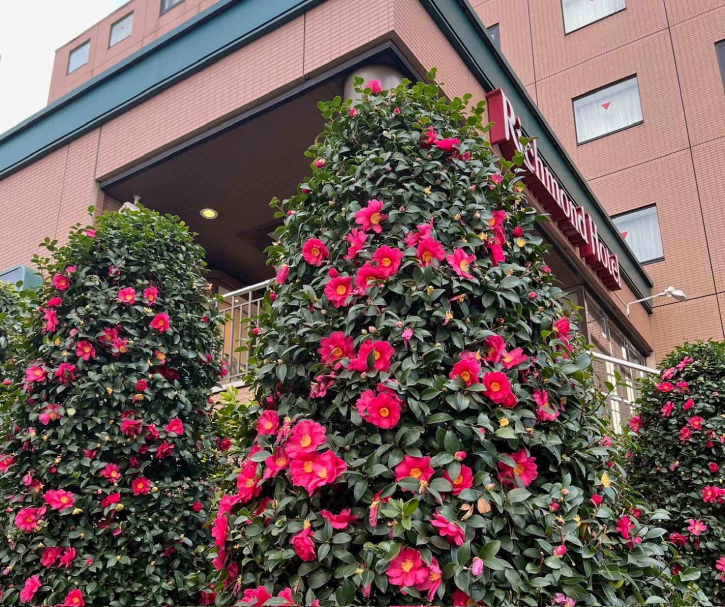 Richmond Hotel Tokyo Musashino Buitenkant foto